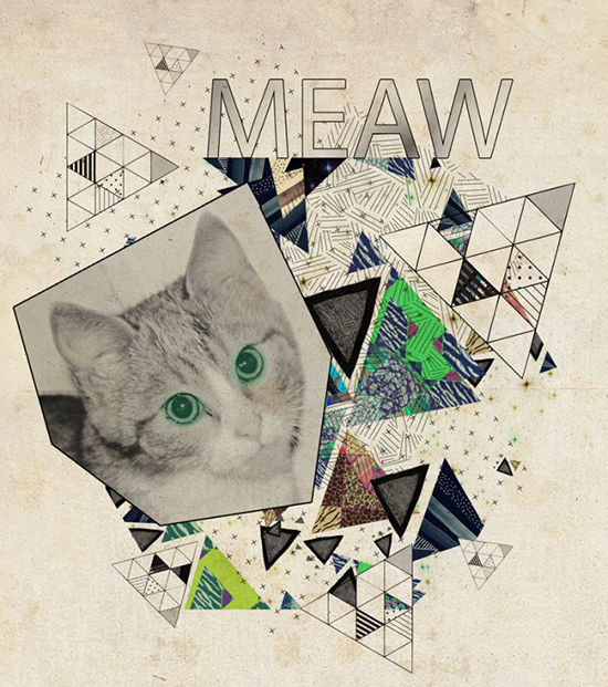 5. collage-art-geometric-vasare-nar-triangles-hipster-aztec-vintage-tutorial-cat-kitten