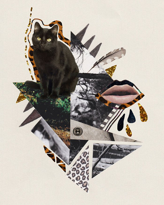 8. cat-collage-hipster-art-kitten-cool-art-design