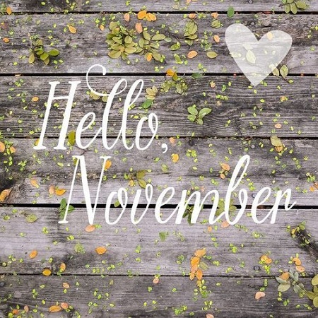 hellonovember