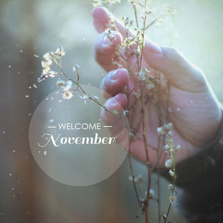 welcomenovember