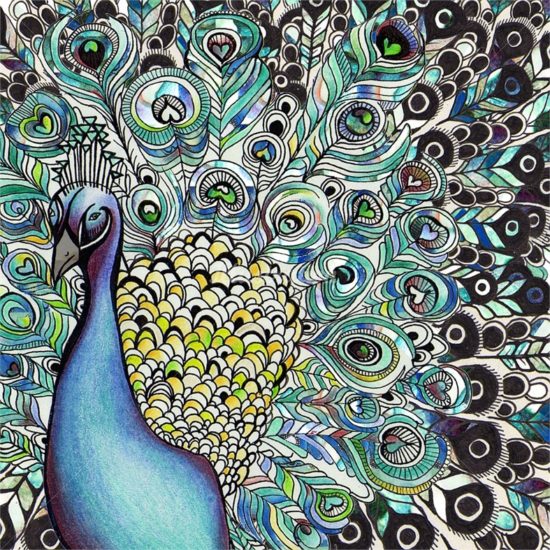 peacock