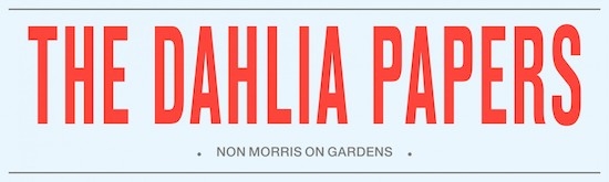 cropped-dahlia_papers_masthead