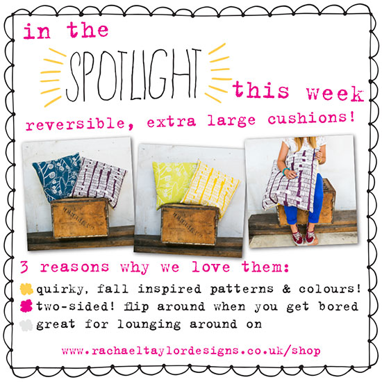 In The Spotlight - Extra Large Cushions!