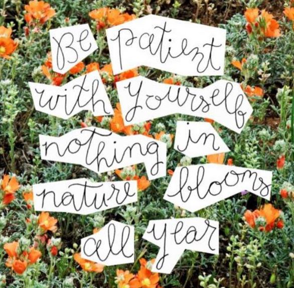 Friday Inspo - Be Patient & Love Yourself!